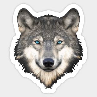 Realistic Furry Wolf Face Sticker